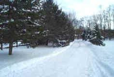 snow_driveway_small4